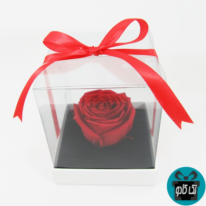 گل رز جاودان - هدیه برای همسر
